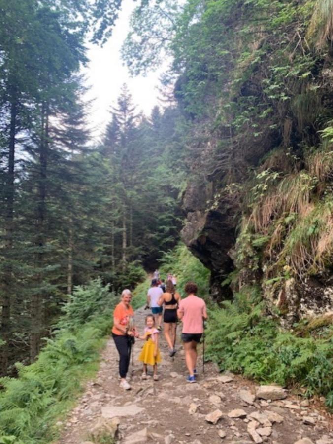 Appartement Tres Agreable Dans Belle Residence, Classe 3 Etoiles Par Le Comite Departementale Du Tourisme En Haute Garonne Bagnères-de-Luchon Buitenkant foto